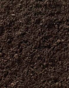 Clay